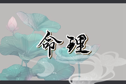 人盘排盘,八字占卜免费,八字纯阴阳测算,今日四柱八字,八字运势测算,拆八字算命运